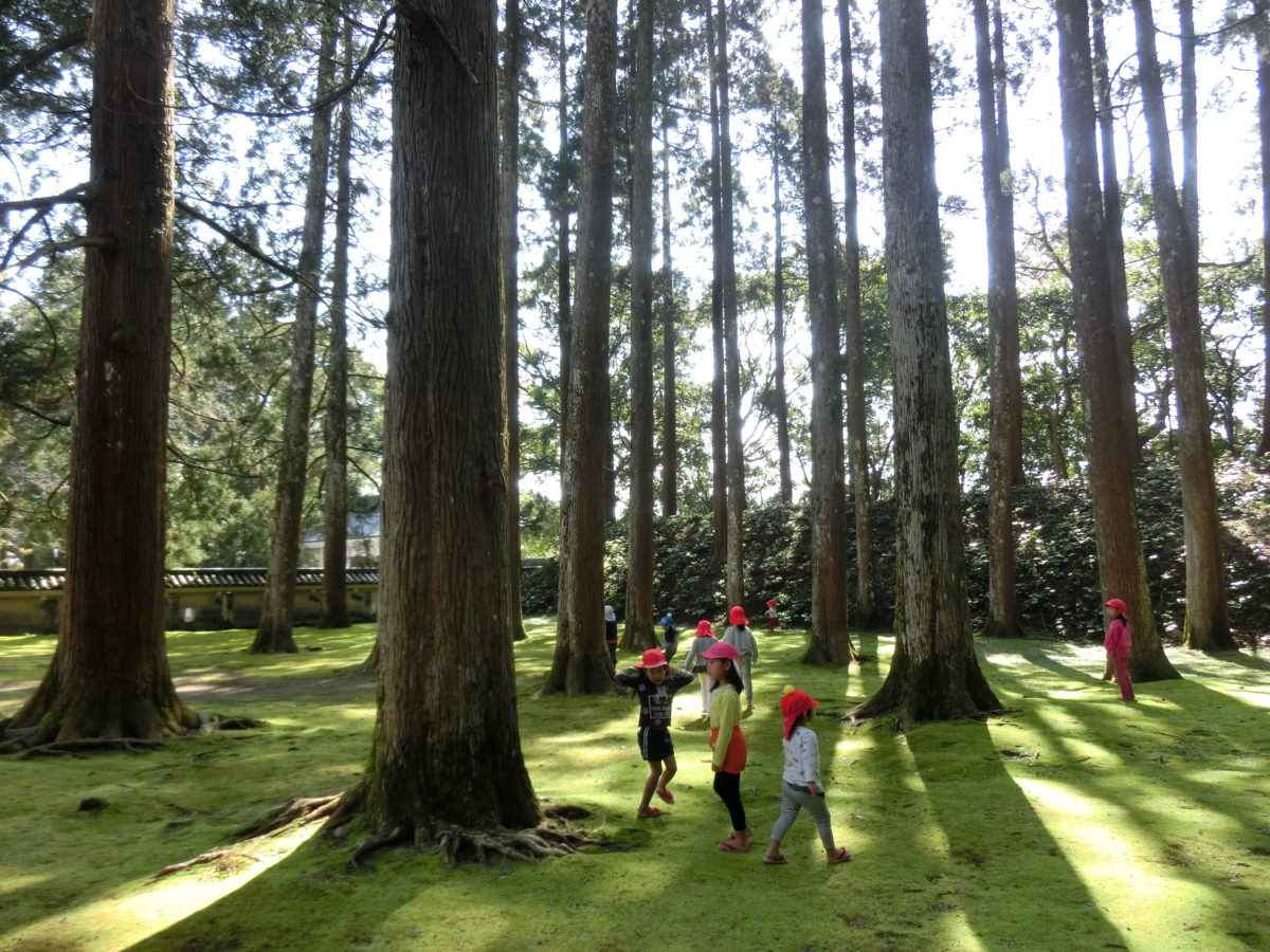 保護中: お別れ遠足（2019.3.5）