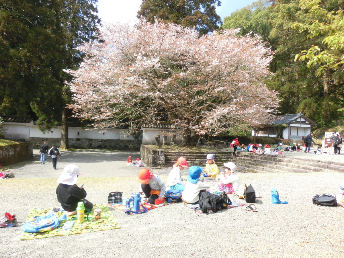 保護中: お別れ遠足・お弁当の日（2020.3.6）