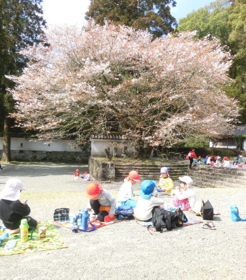 保護中: お別れ遠足・お弁当の日（2020.3.6）