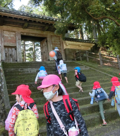 保護中: お弁当の日（2020.4.28）