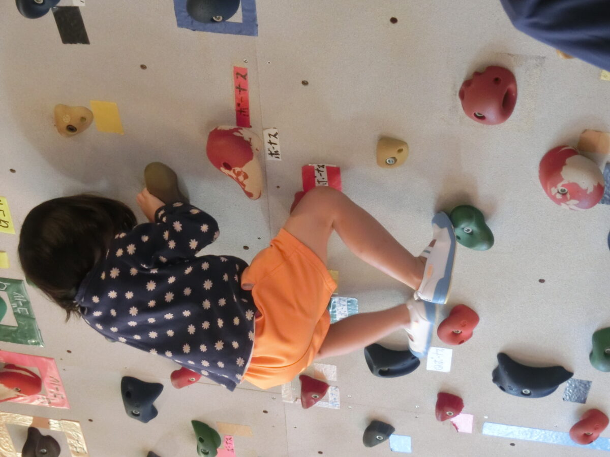 白組ボルタリング大会（2024.11.18）