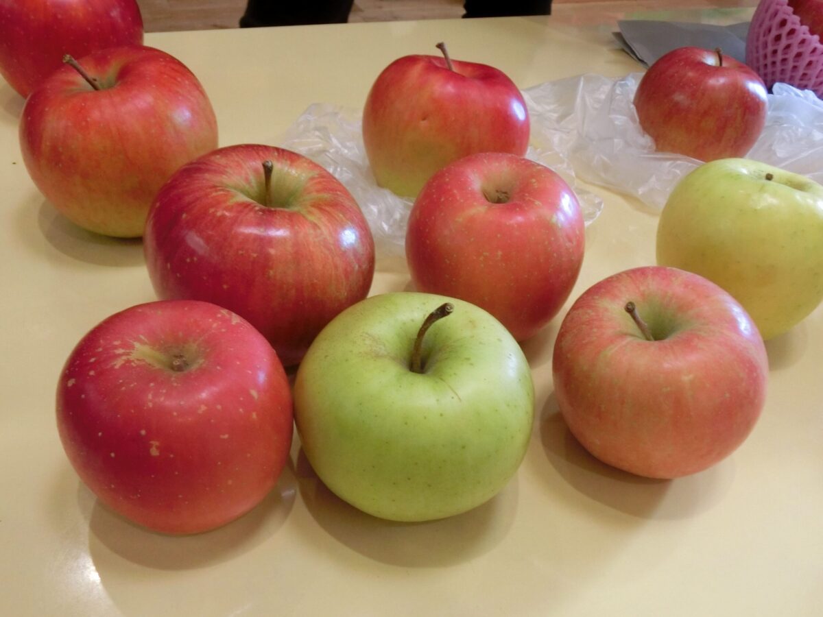 収穫感謝の日（2025.11.20）