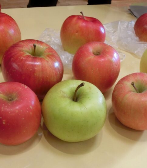 収穫感謝の日（2025.11.20）