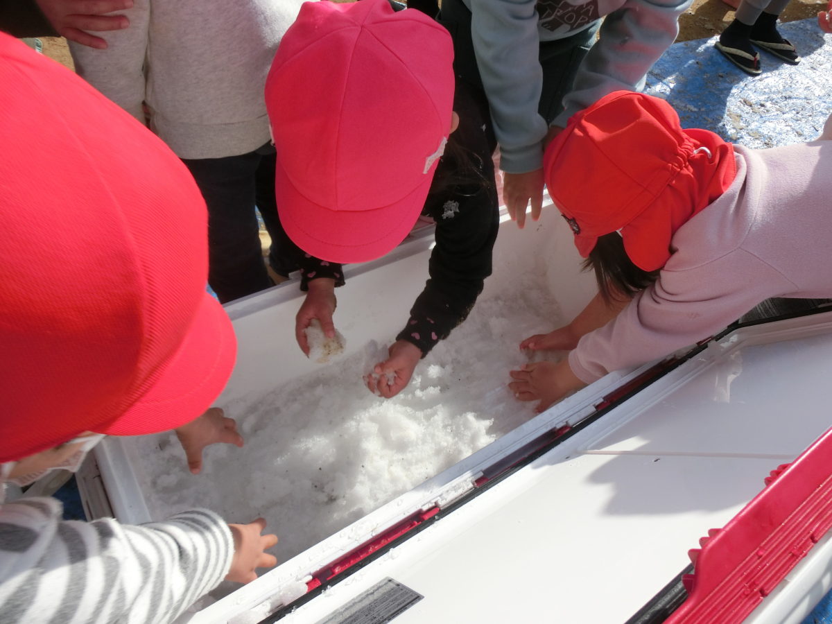 雪あそび（2022.2.7）